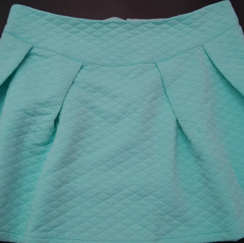 FS Embellished Mini Skirt - Picture 3 of 8